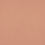 Brush Builder - Glitter Warm Nude