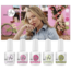 Pastery Perfection Collectie