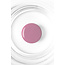 Gelpolish 04 Rosy Finch
