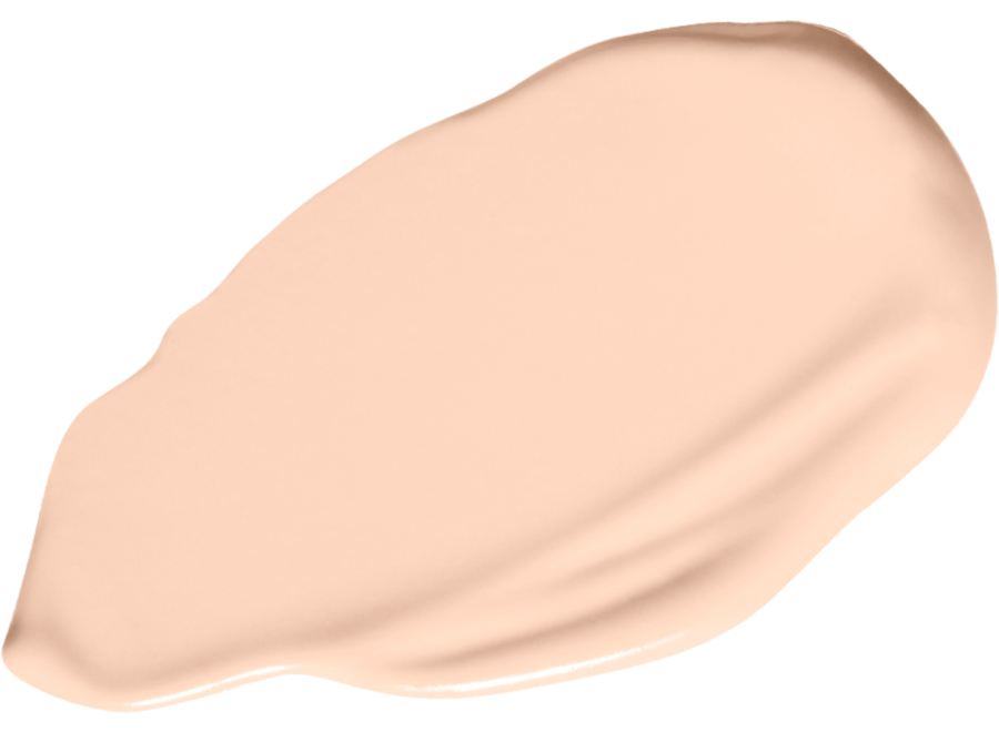 Vani-T Skin Perfector HD Serum Foundation - F12