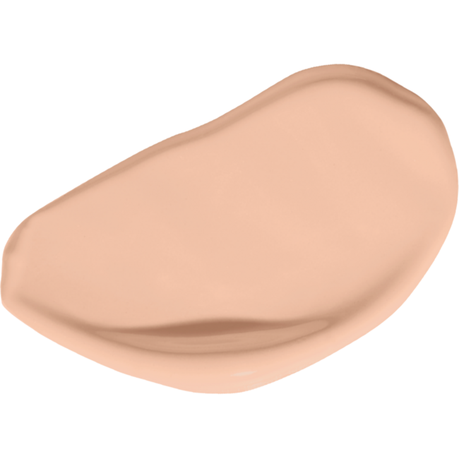 Vani-T Skin Perfector HD Serum Foundation - F23