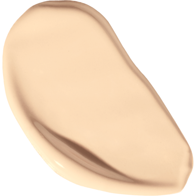 Vani-T Instant Blur HD Concealer - C13