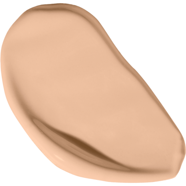 VANI-T Vani-T Instant Blur HD Concealer - C21