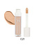 VANI-T Vani-T Instant Blur HD Concealer - C21