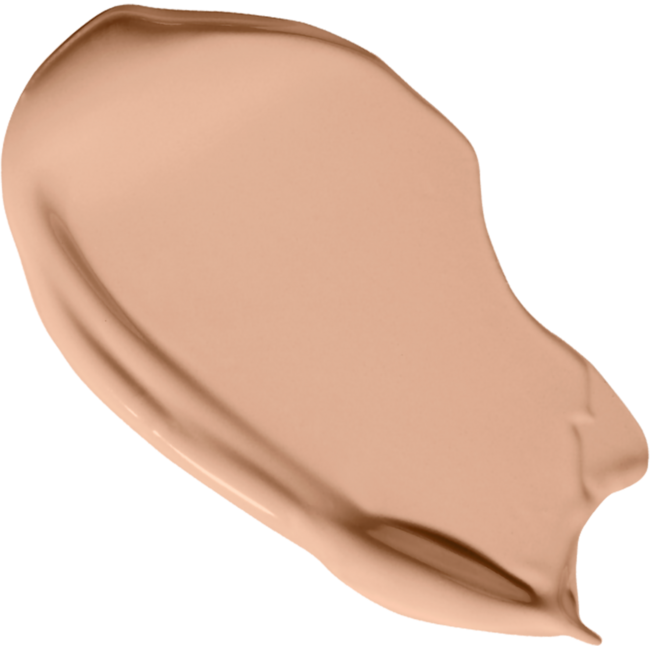 Vani-T Instant Blur HD Concealer - C26