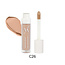 VANI-T Vani-T Instant Blur HD Concealer - C26