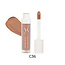 VANI-T Vani-T Instant Blur HD Concealer - C36