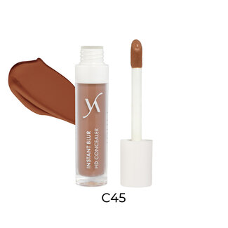 Vani-T Vani-T Instant Blur HD Concealer - C45