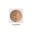 Vani-T Mineral Powder Foundation - Almondine
