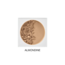 VANI-T Vani-T Mineral Powder Foundation - Almondine