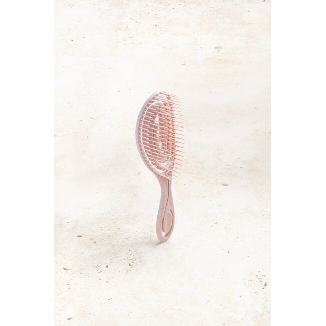 Vani-T Detangling Hairbrush