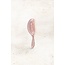 Vani-T Detangling Hairbrush