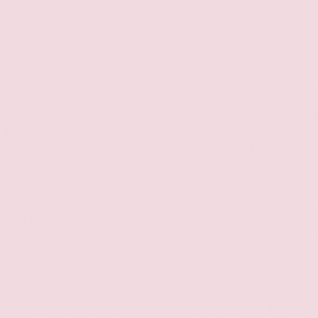 Gel Polish #005 Ballet Slipper