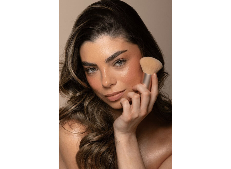 Vani-T Mineral Powder Duo