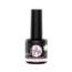 Eternal Vows Collection