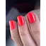28 BIAP Strawberry