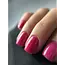 60 BIAP Cosmopolitan