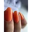 57 BIAP Bellini