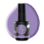 Rubber Base - Purply