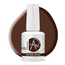 Autumn Brews Collectie