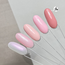Muted Muse Collectie