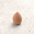 Beauty Sponge (met cup)