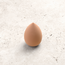 VANI-T Beauty Sponge