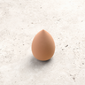 Beauty Sponge