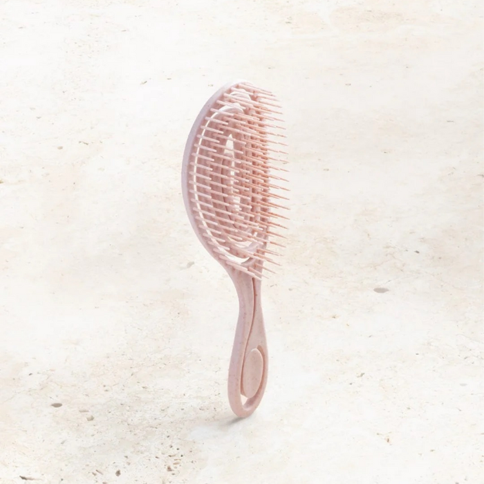 Detangling Hairbrush