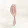 Hairbrush