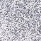 Top Gel - Silver Glitz