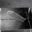 Upper Forms Salon x Shapes