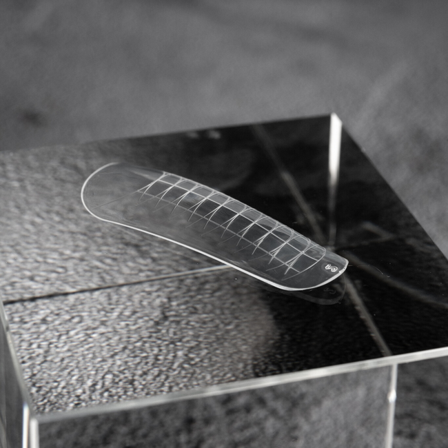 Upper Forms Oval x Small
