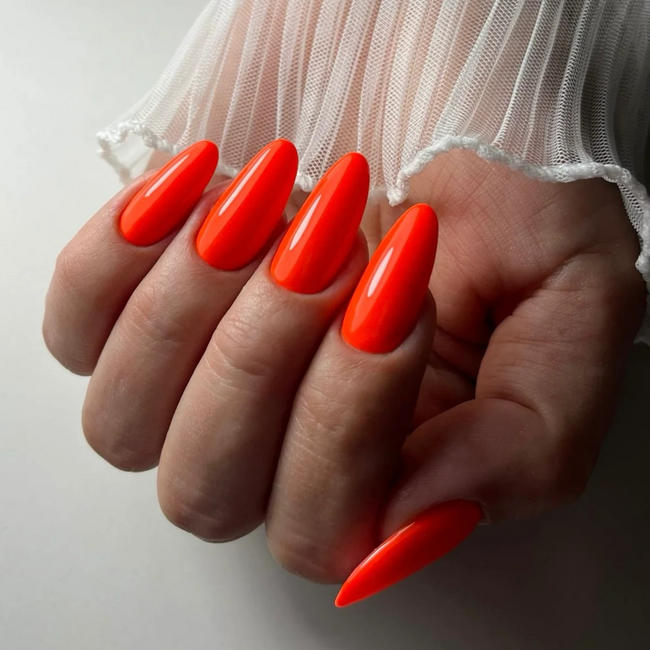 Xolish 05