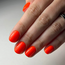 Xolish 05