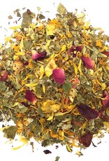 Geels G5983 Bij Regen en  Wind