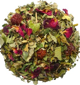 Geels G6009 Dagdromen