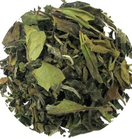 Geels G347 BIO China Pai Mu Tan Witte thee NL-BIO-01