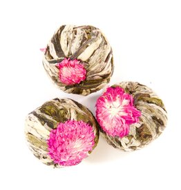 Geels G2004 Teaflowers Long Red