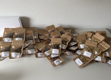 Samples