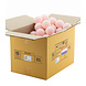 COTTON BALL LIGHTS Light Pink COTTON BALL LIGHTS Light Pink