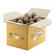 COTTON BALL LIGHTS Caffe Latte COTTON BALL LIGHTS Caffe Latte