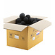 COTTON BALL LIGHTS Black COTTON BALL LIGHTS Black