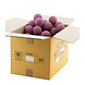 COTTON BALL LIGHTS Light Magenta COTTON BALL LIGHTS Light Magenta