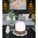 LEDR Buiten Tafellamp Pine + Luidspreker LEDR Buiten Tafellamp Pine + Luidspreker