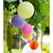 COTTON BALL LIGHTS Buitenlichtslinger - Arco Iris COTTON BALL LIGHTS Buitenlichtslinger - Arco Iris