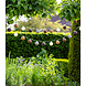 COTTON BALL LIGHTS Regular Outdoor Light String - Glamping Natural COTTON BALL LIGHTS Regular Outdoor Light String - Glamping Natural