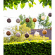 COTTON BALL LIGHTS Regular Outdoor Light String - Glamping Natural COTTON BALL LIGHTS Regular Outdoor Light String - Glamping Natural