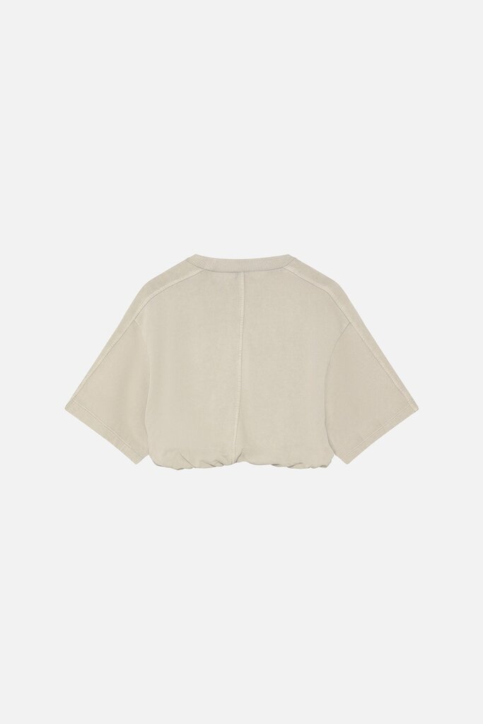 Won Hundred Won Hundred // Beck T-shirt Willow Gray