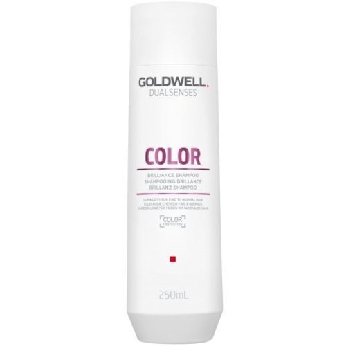 Goldwell Dualsenses Color Brilliance Shampoo 